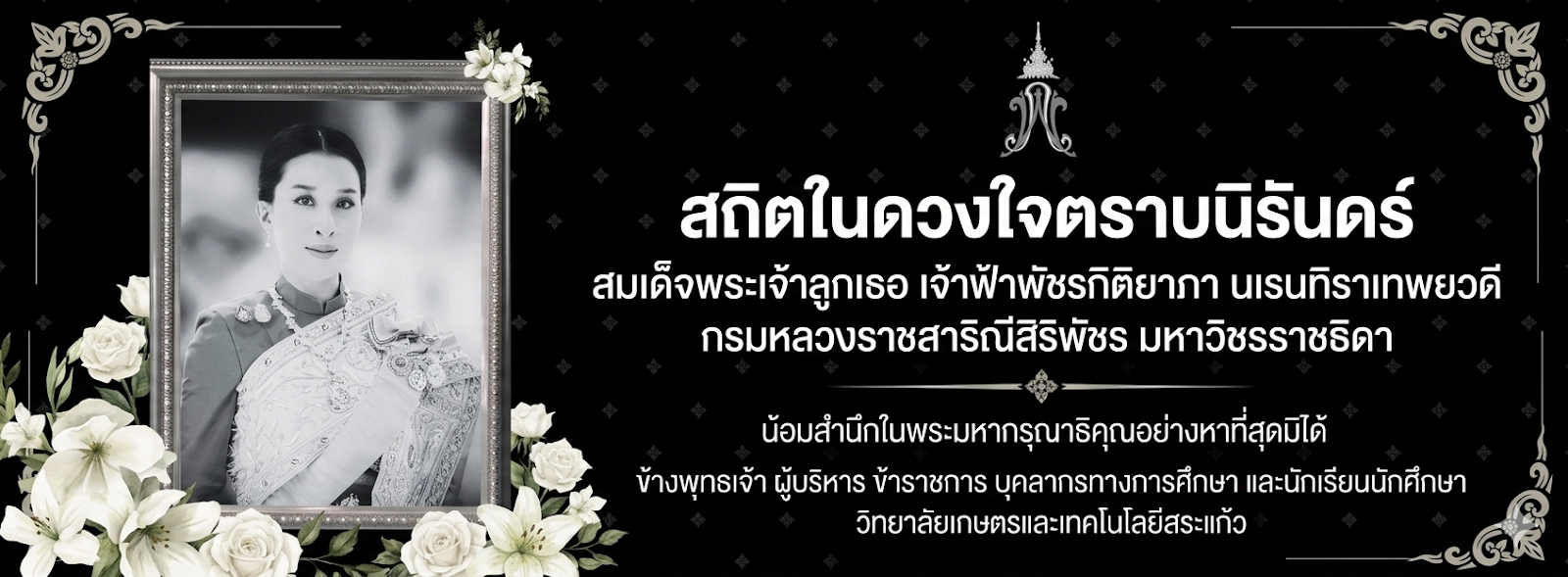 Banner Slide