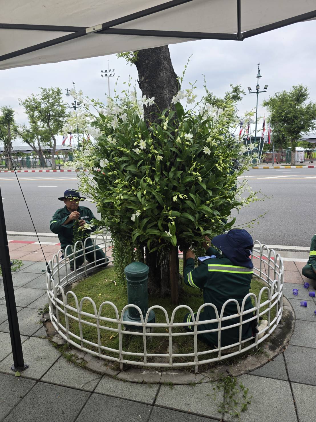 รูปภาพ