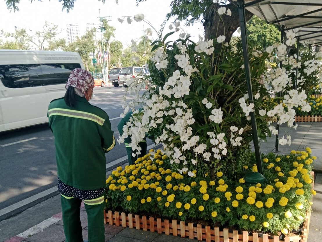 รูปภาพ