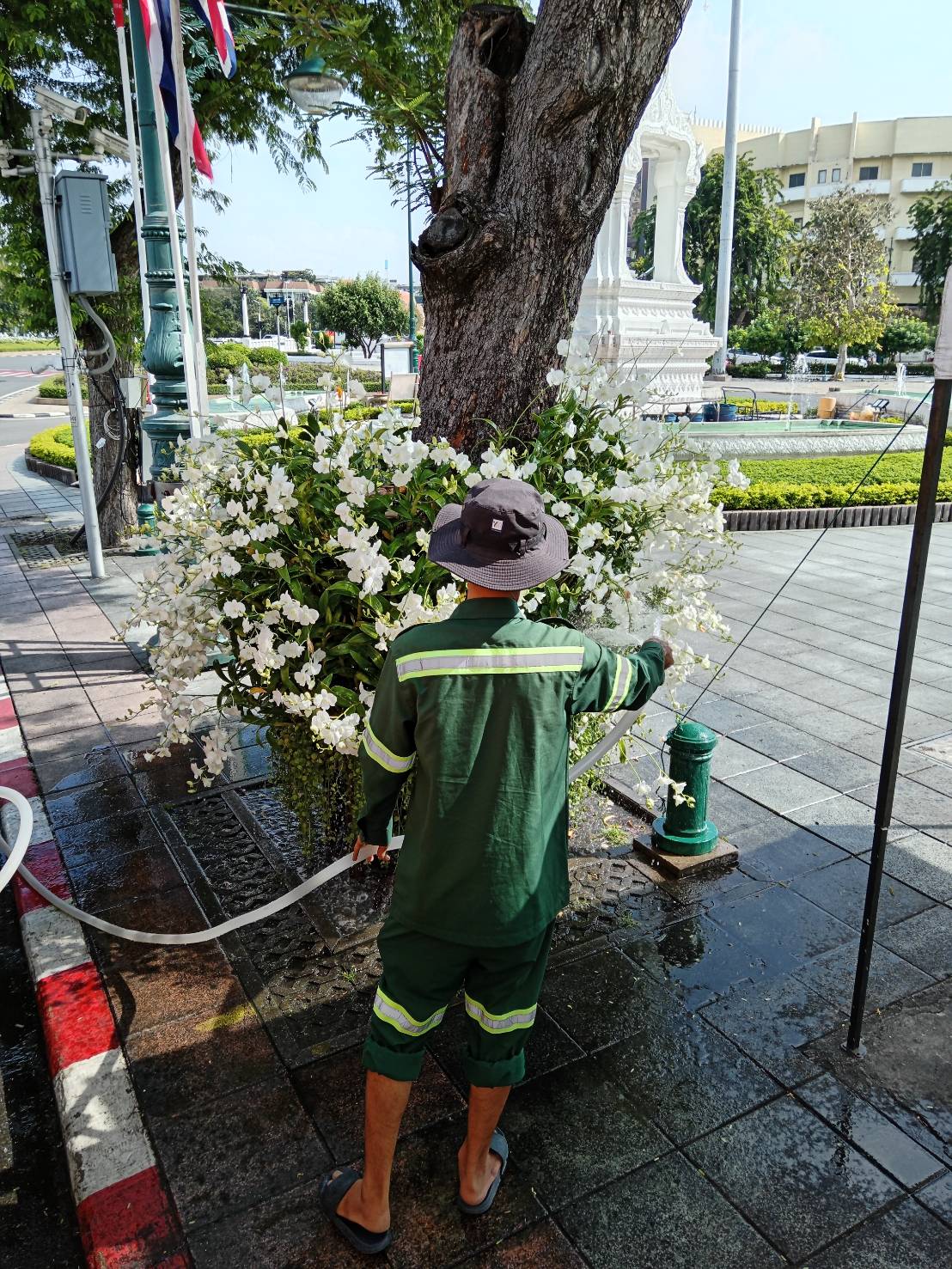 รูปภาพ