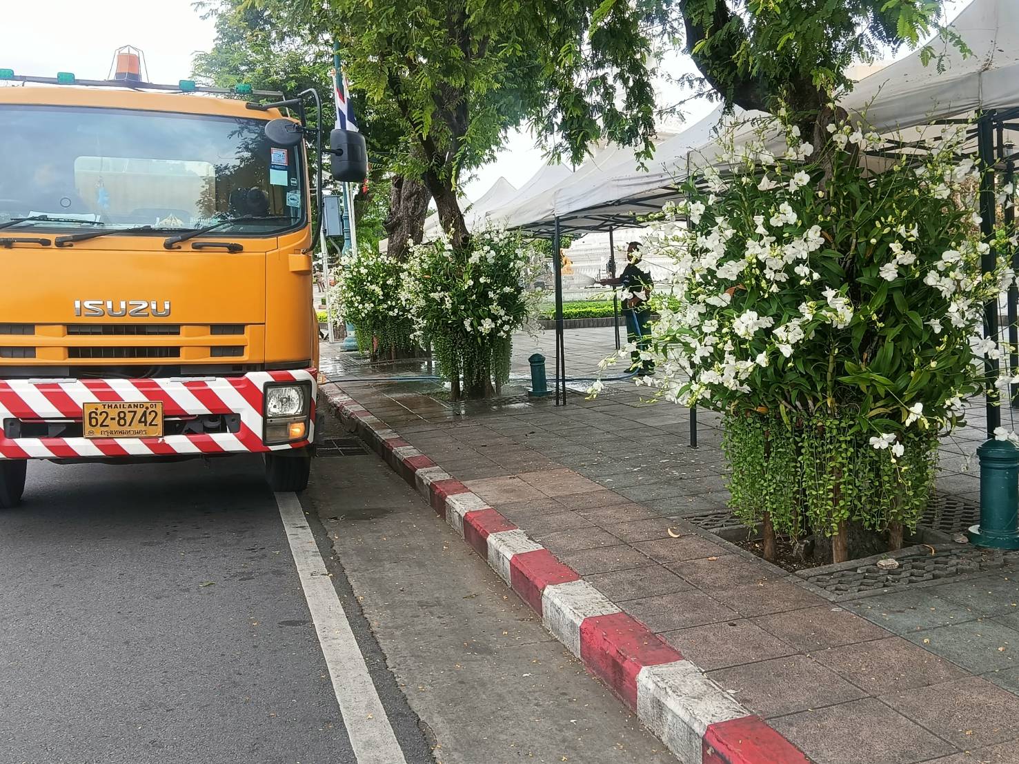 รูปภาพ