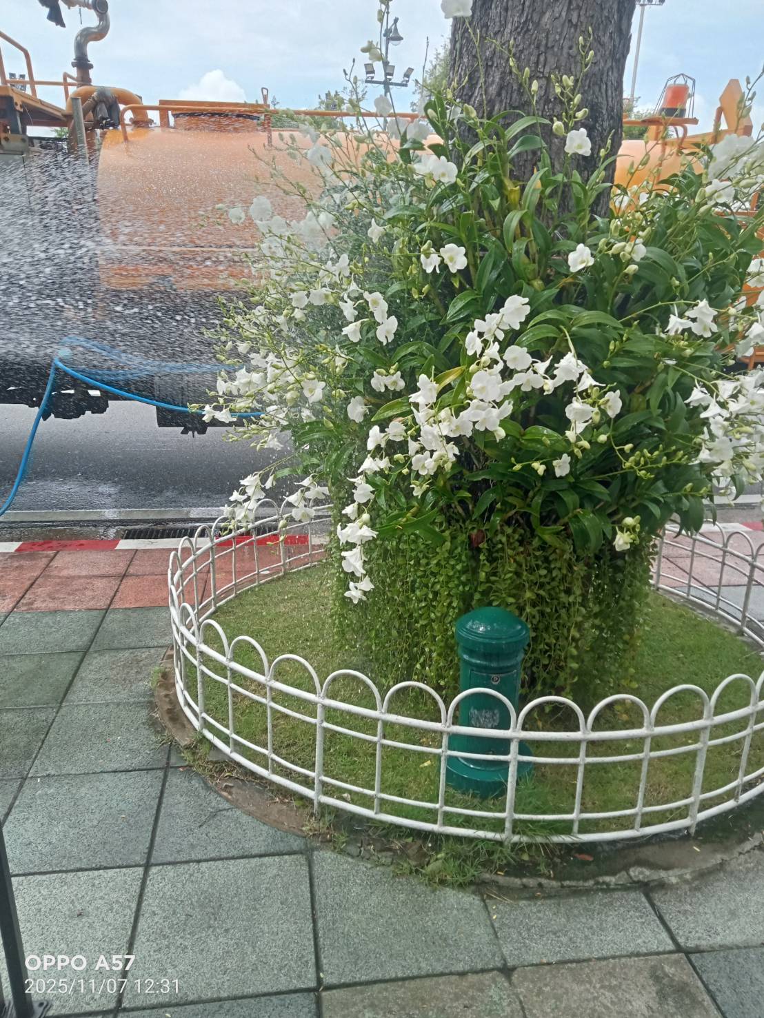 รูปภาพ