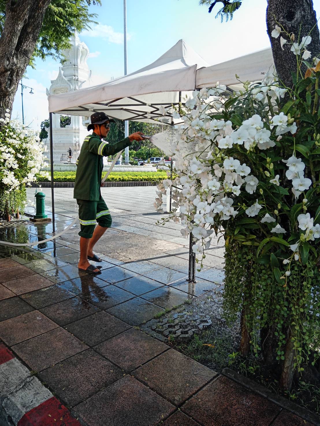 รูปภาพ