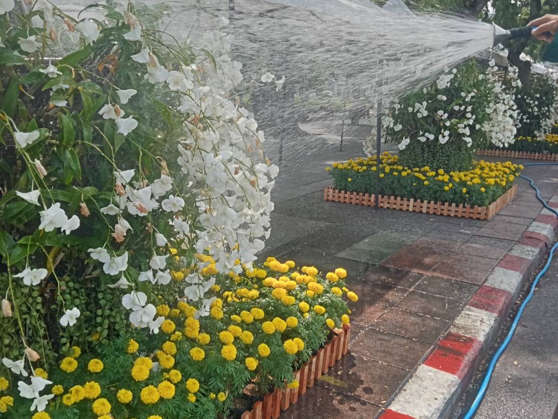 รูปภาพ