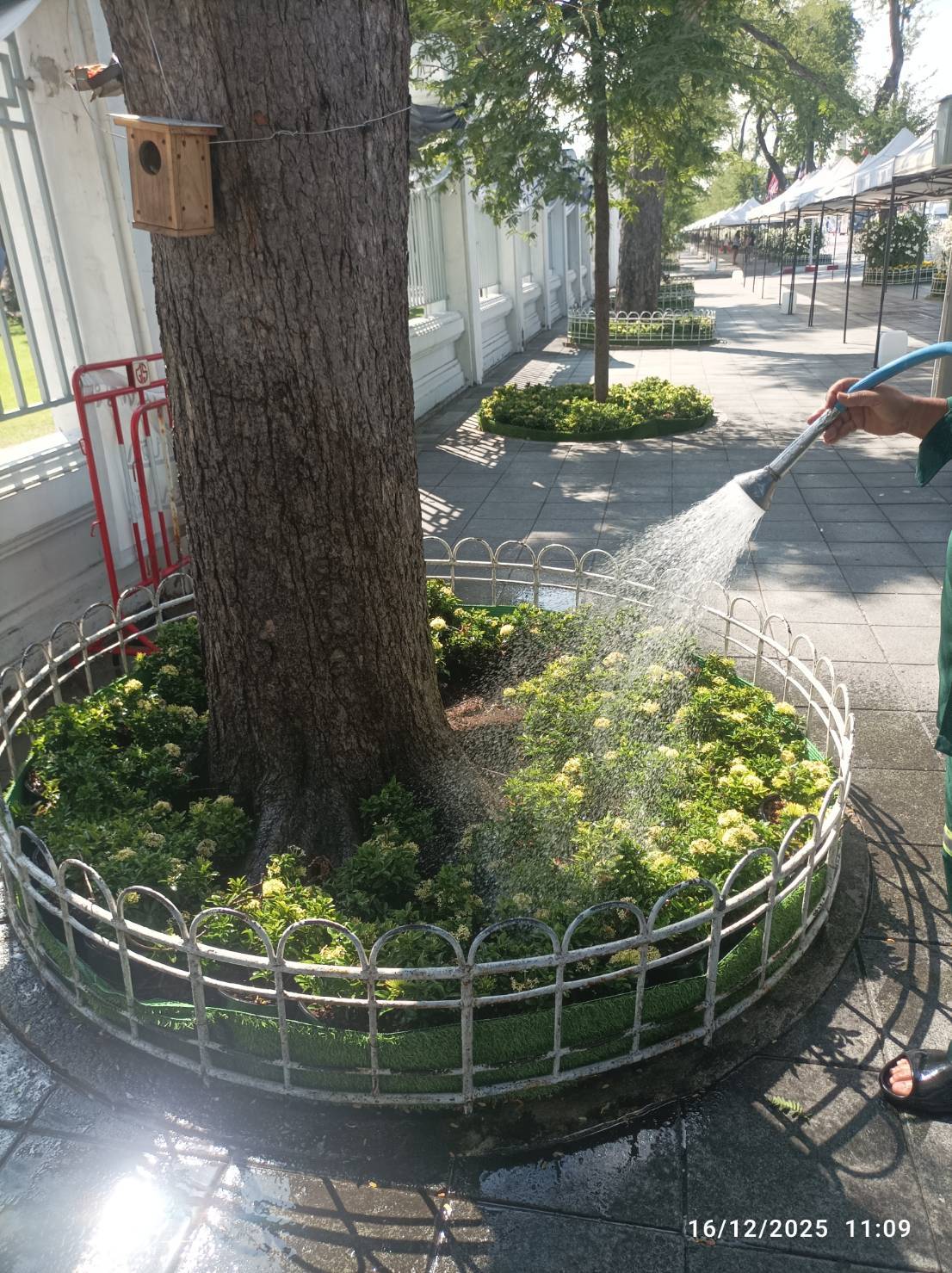 รูปภาพ