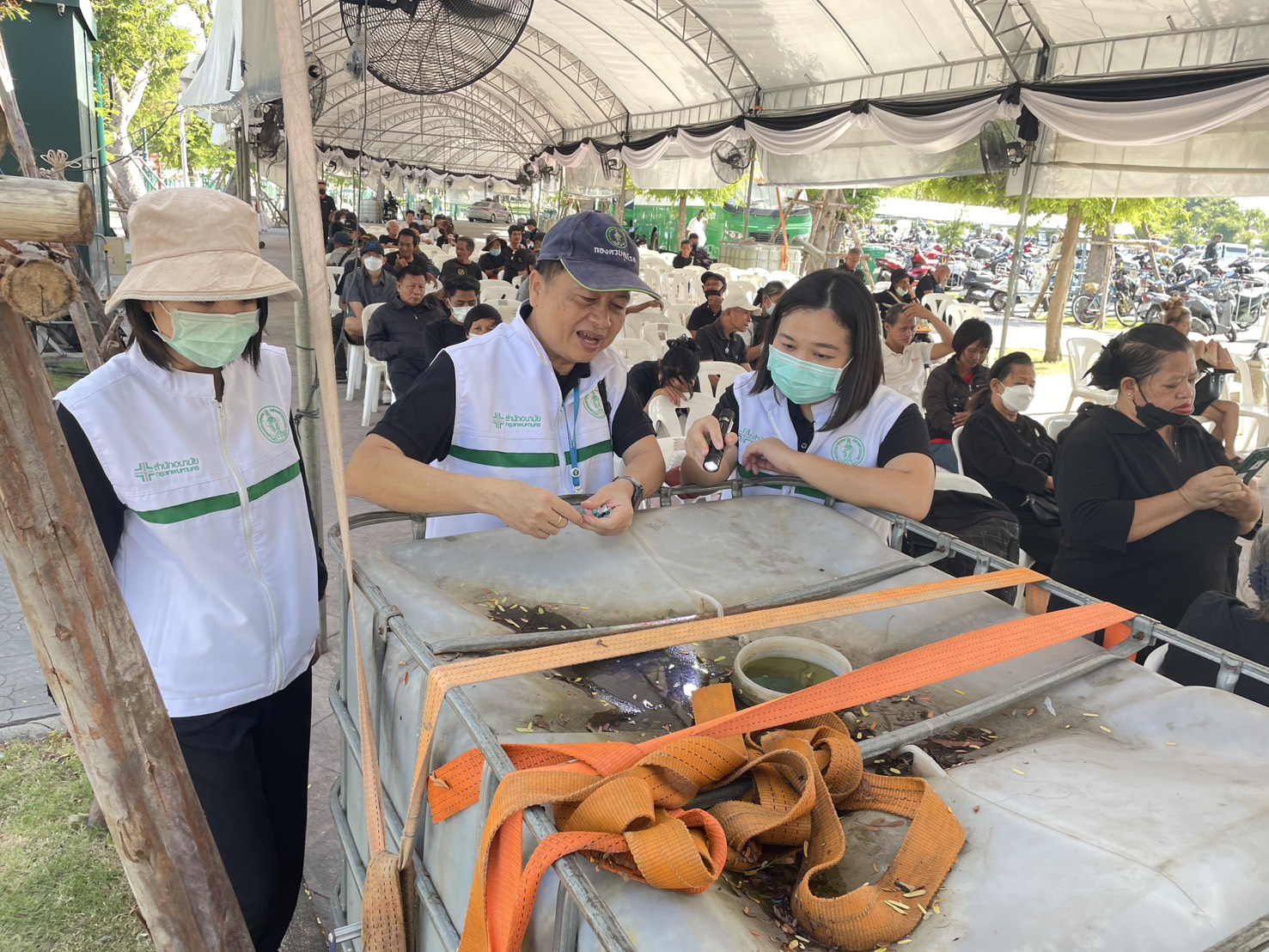 รูปภาพ