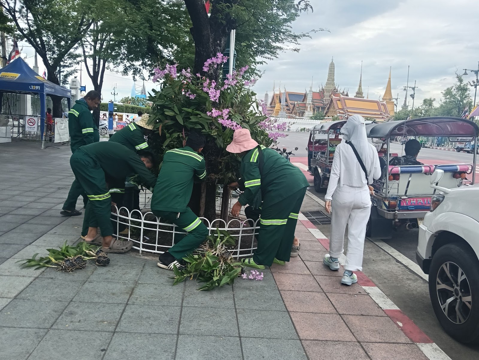 รูปภาพ