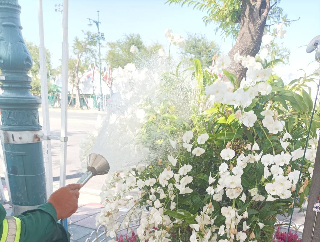 รูปภาพ