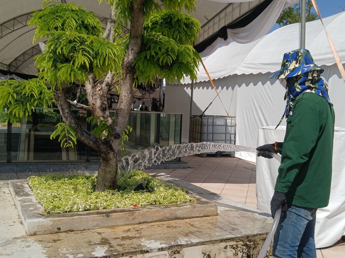 รูปภาพ