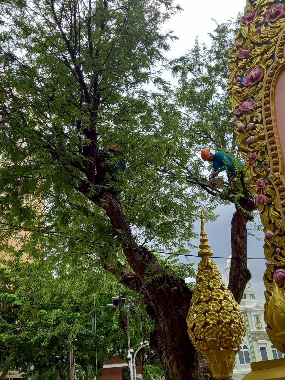 รูปภาพ
