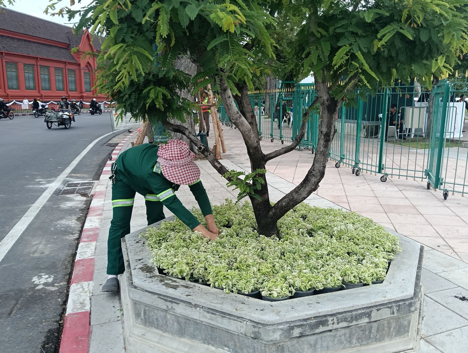 รูปภาพ