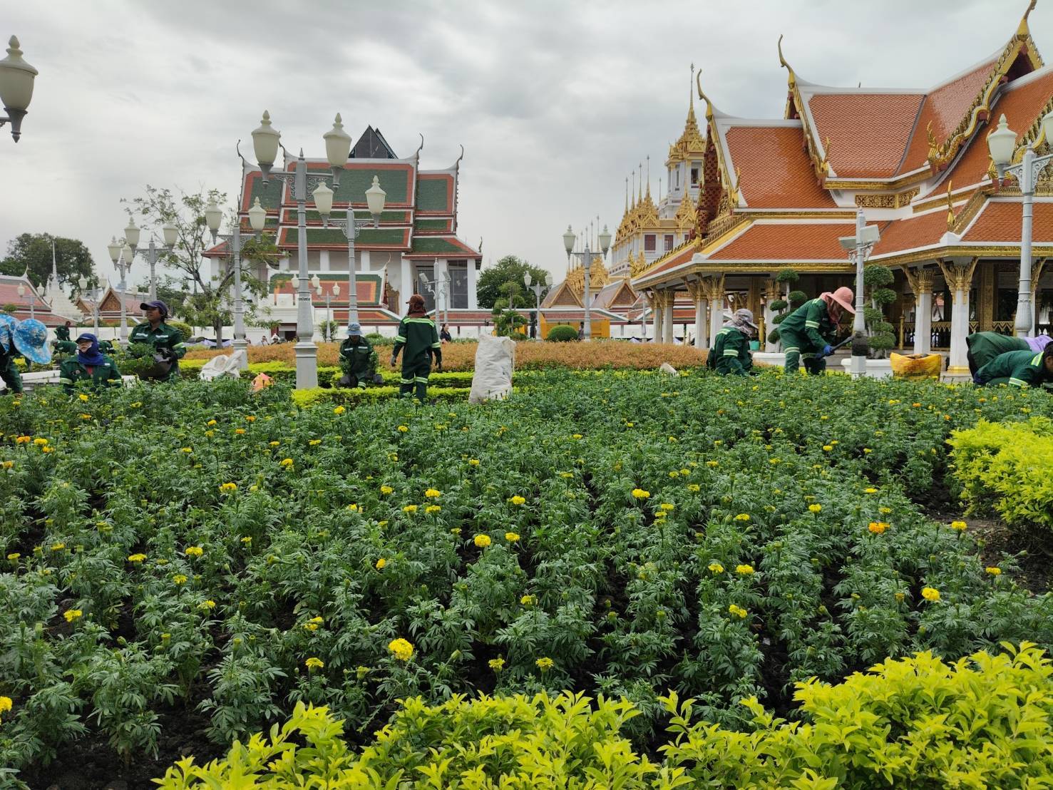 รูปภาพ