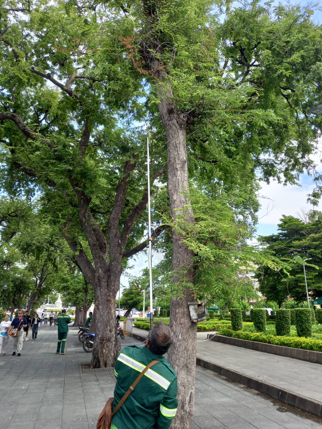 รูปภาพ