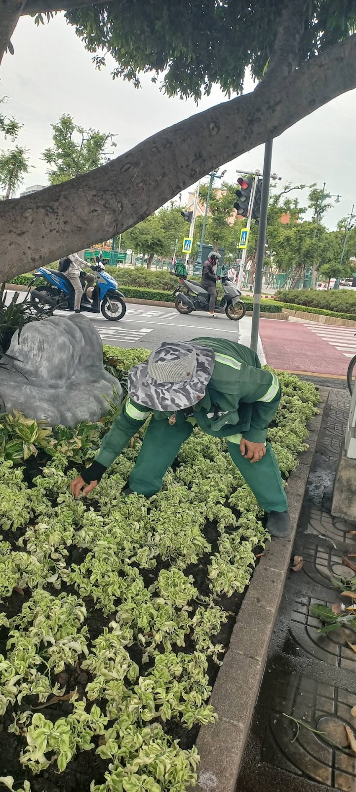 รูปภาพ