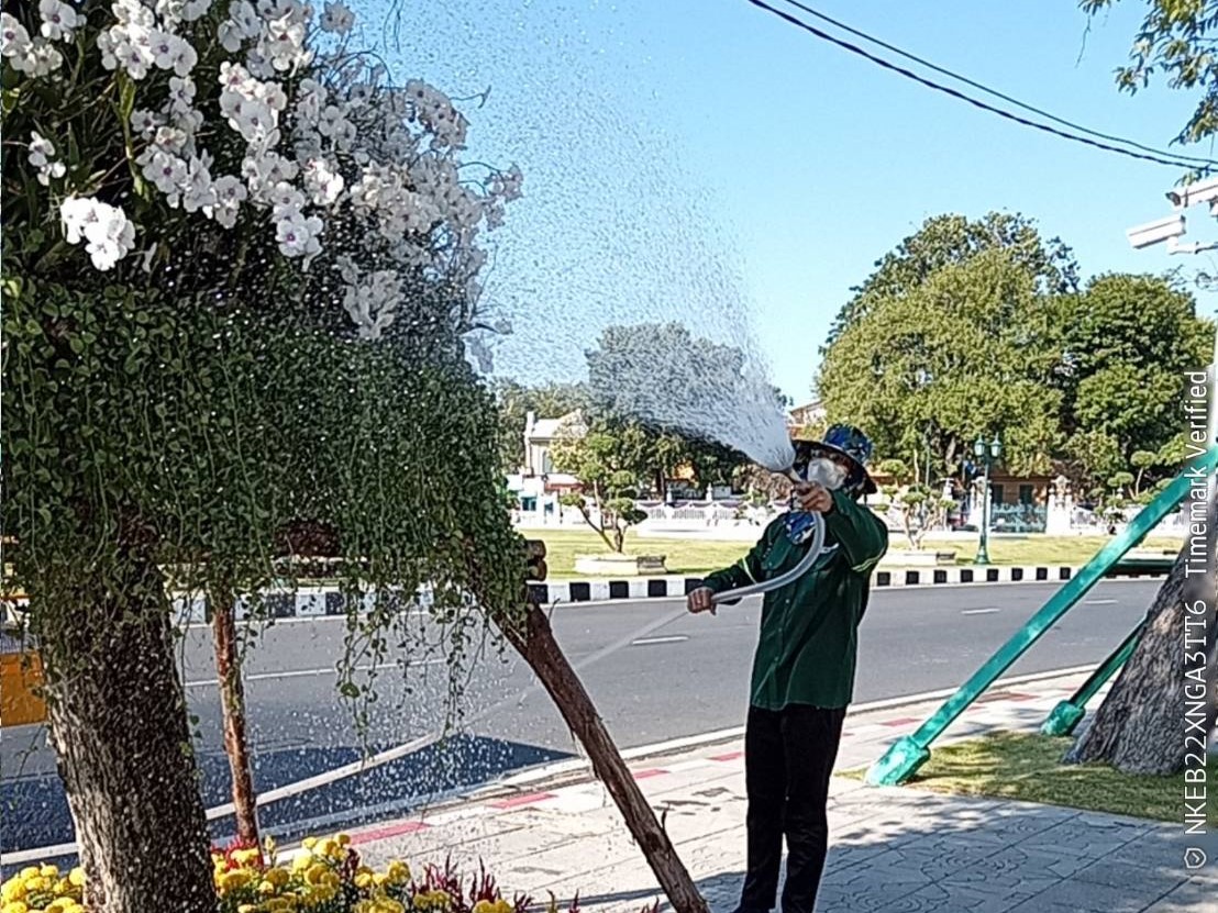 รูปภาพ