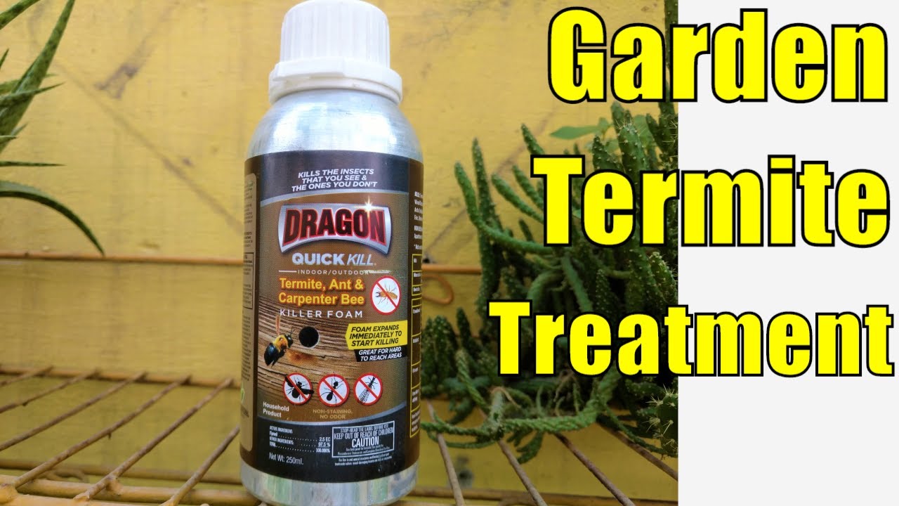 How to get rid of termites in the garden?