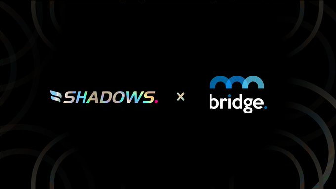Shadows x Bridge Mutual