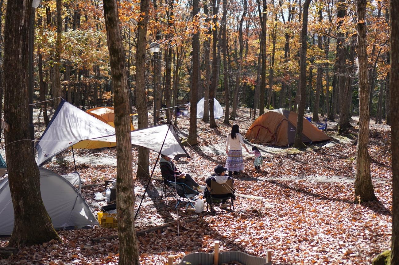 森の中のテントがある

中程度の精度で自動的に生成された説明