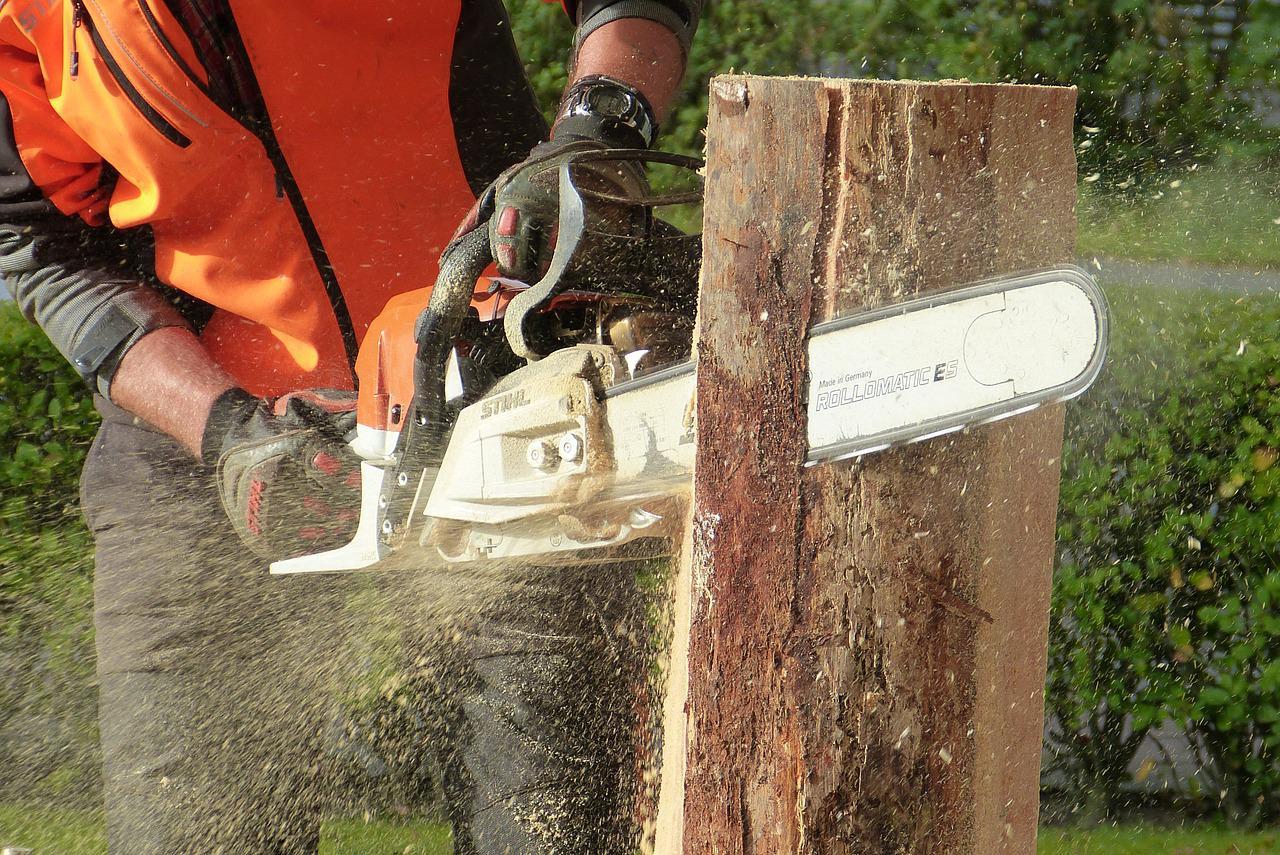 man cutting standing tree with chainsaw