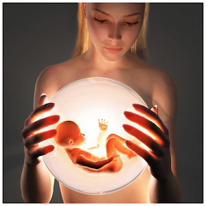 Stages of Pregnancy apk Download