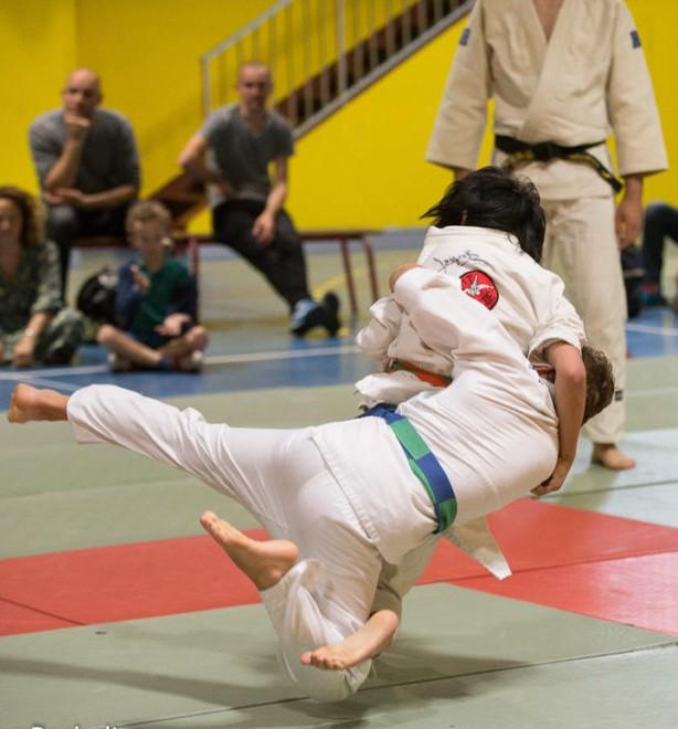 Une image contenant personne, judo, sport
Description générée automatiquement