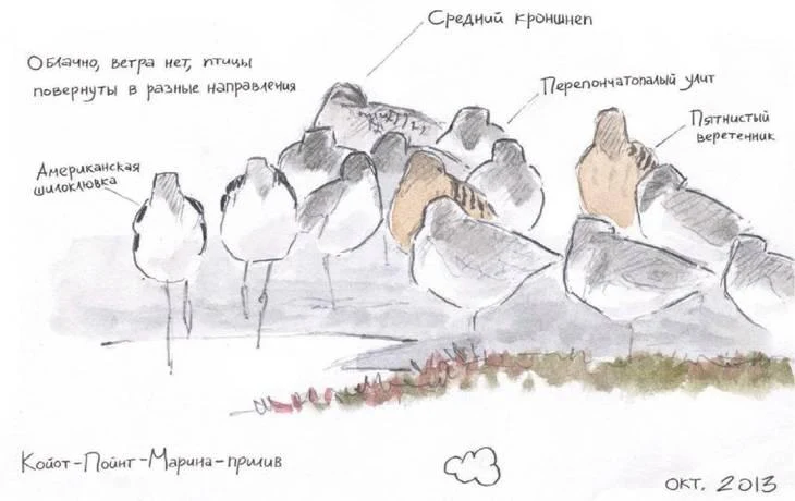 D:\0 wd yedek\acr yedek\1 film indirme\dnevnik_hudozhnika_naturalista_dosyalar\image012.jpg