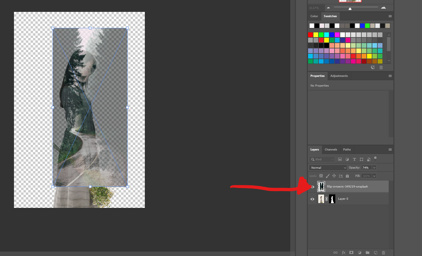 Layers in Phostohop