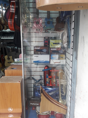 Opiniones de Casa Musical Vida en Lima - Tienda de instrumentos musicales