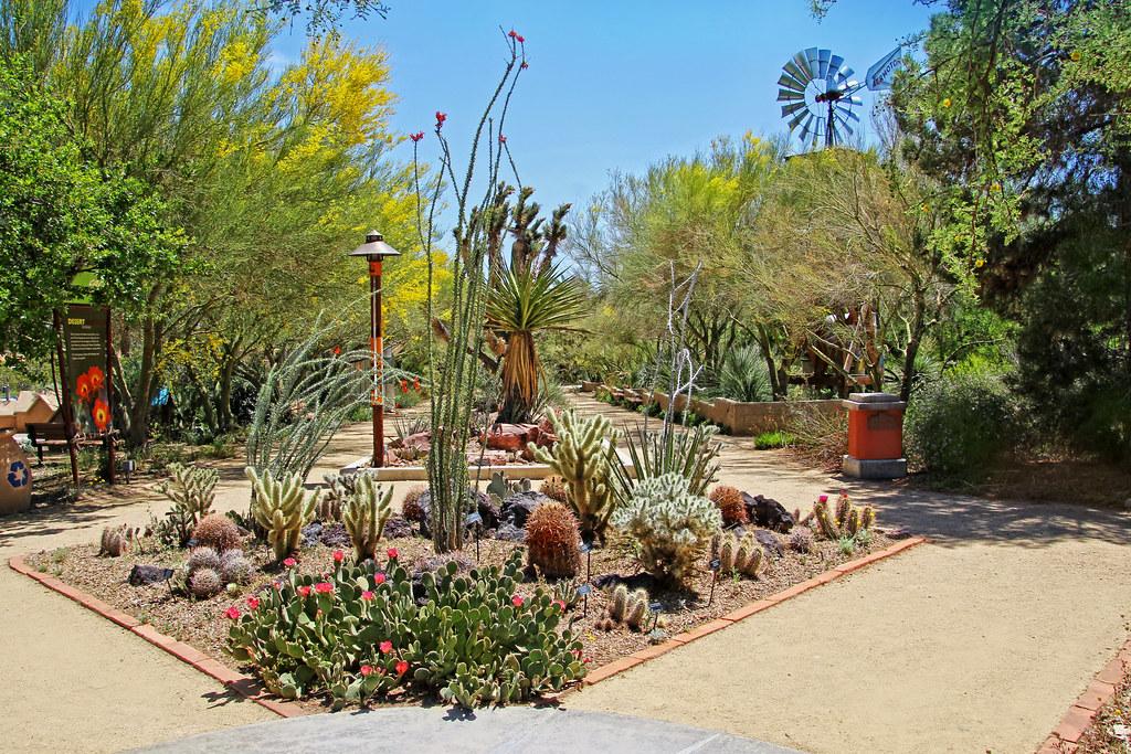 Cactus Alley | Springs Preserve Botanical Garden Las Vegas, … | Renee  Grayson | Flickr