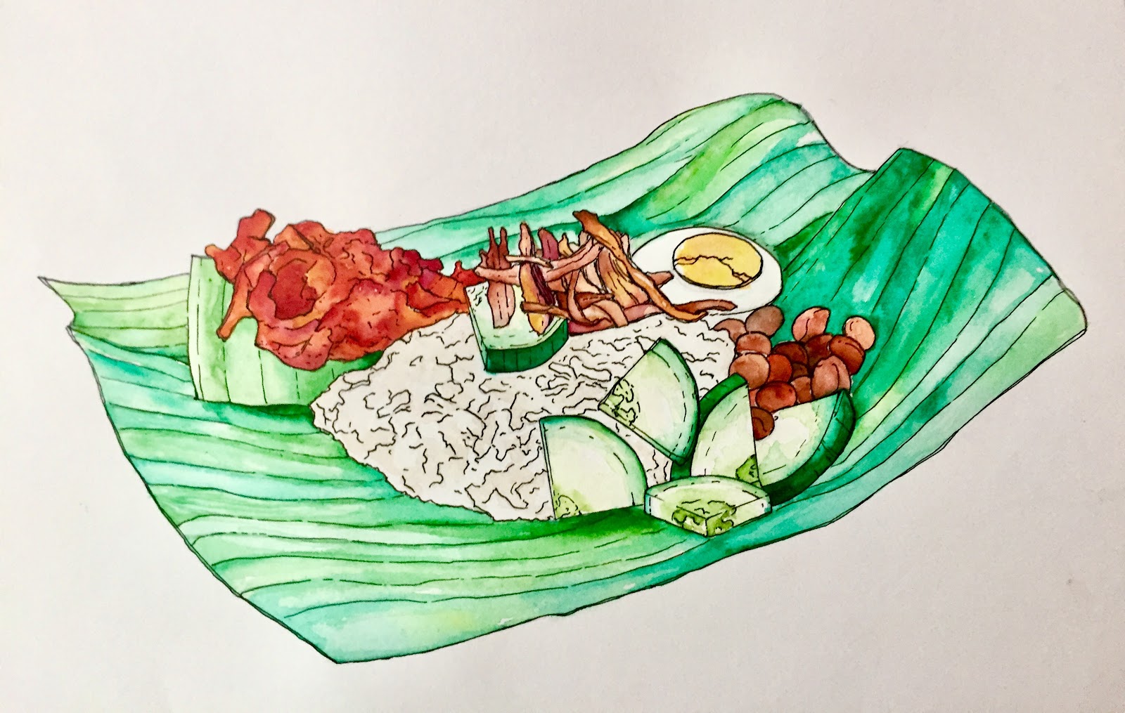 Nasi Lemak drawing