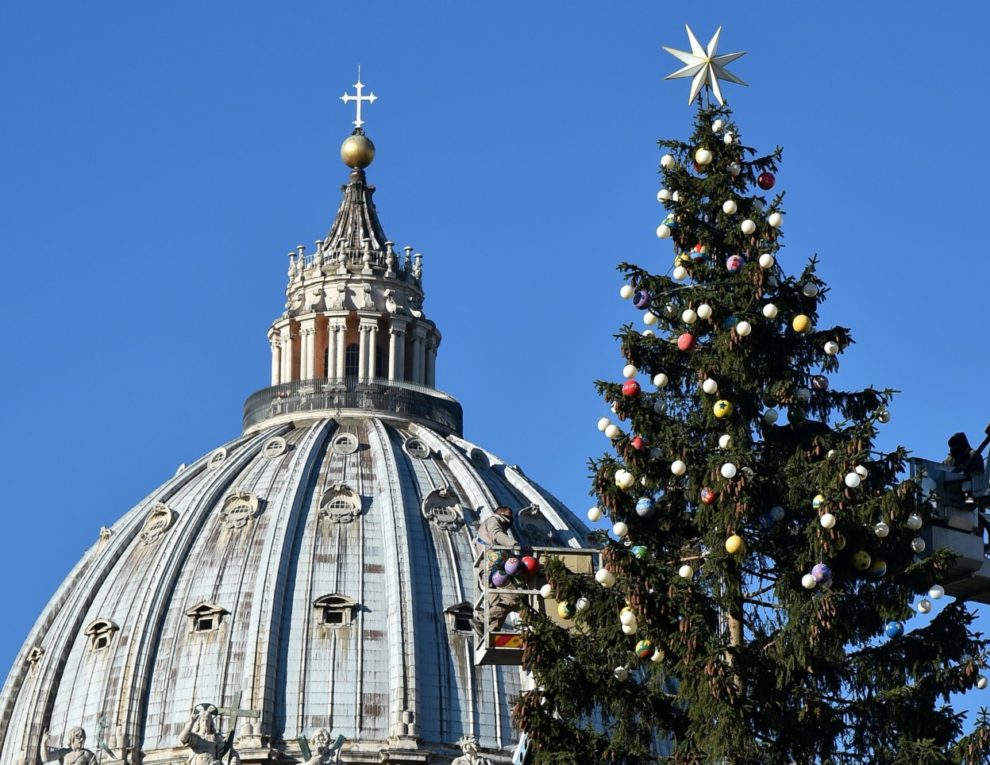 Cây thông Giáng sinh ở Quảng trường Vatican