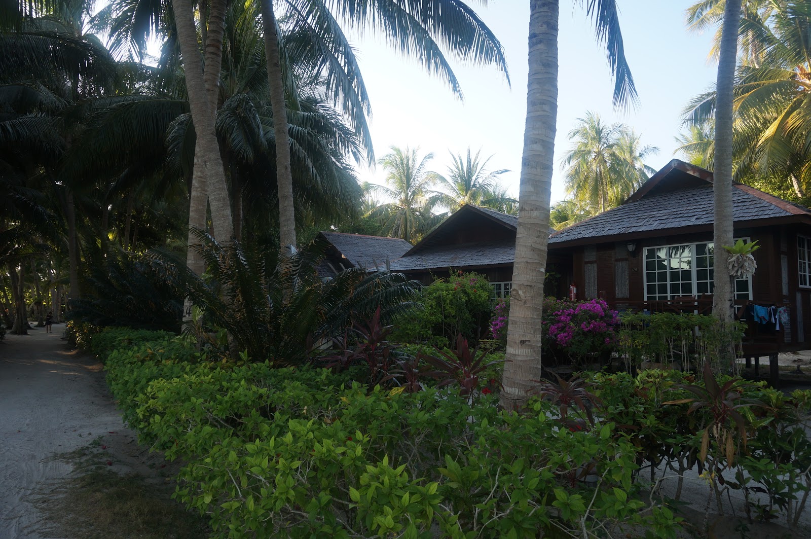 DSC08210.JPG