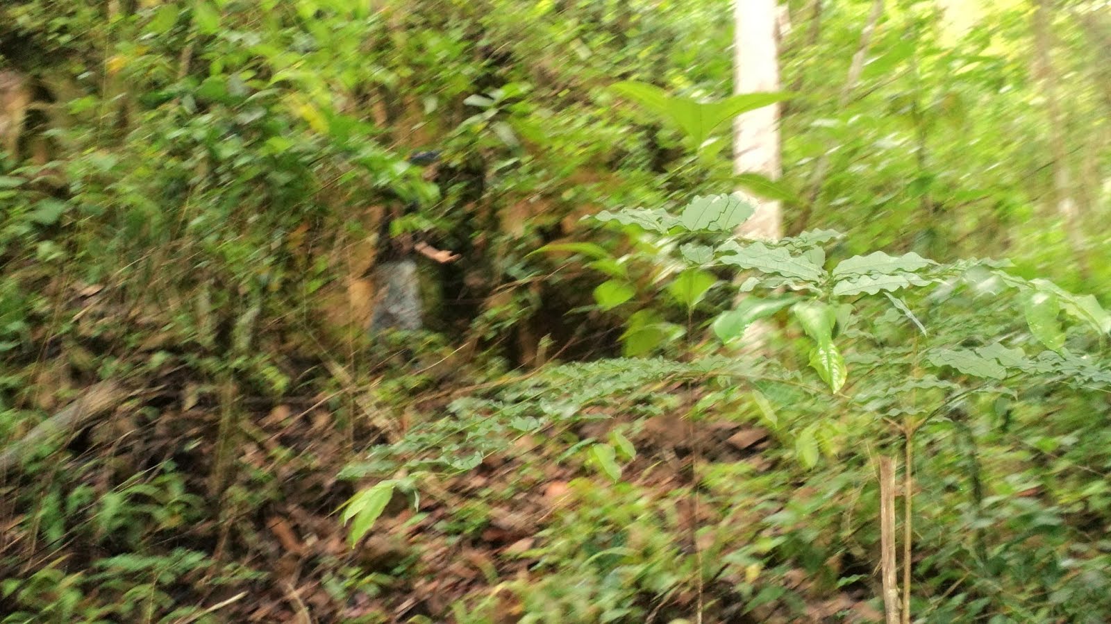 DSC01624.JPG
