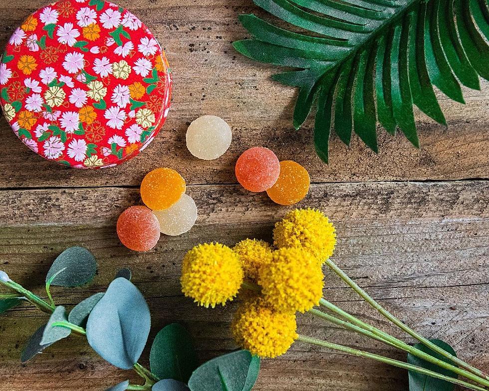 The 7 Best Vegan CBD Gummies to For Pain and Anxiety Relief