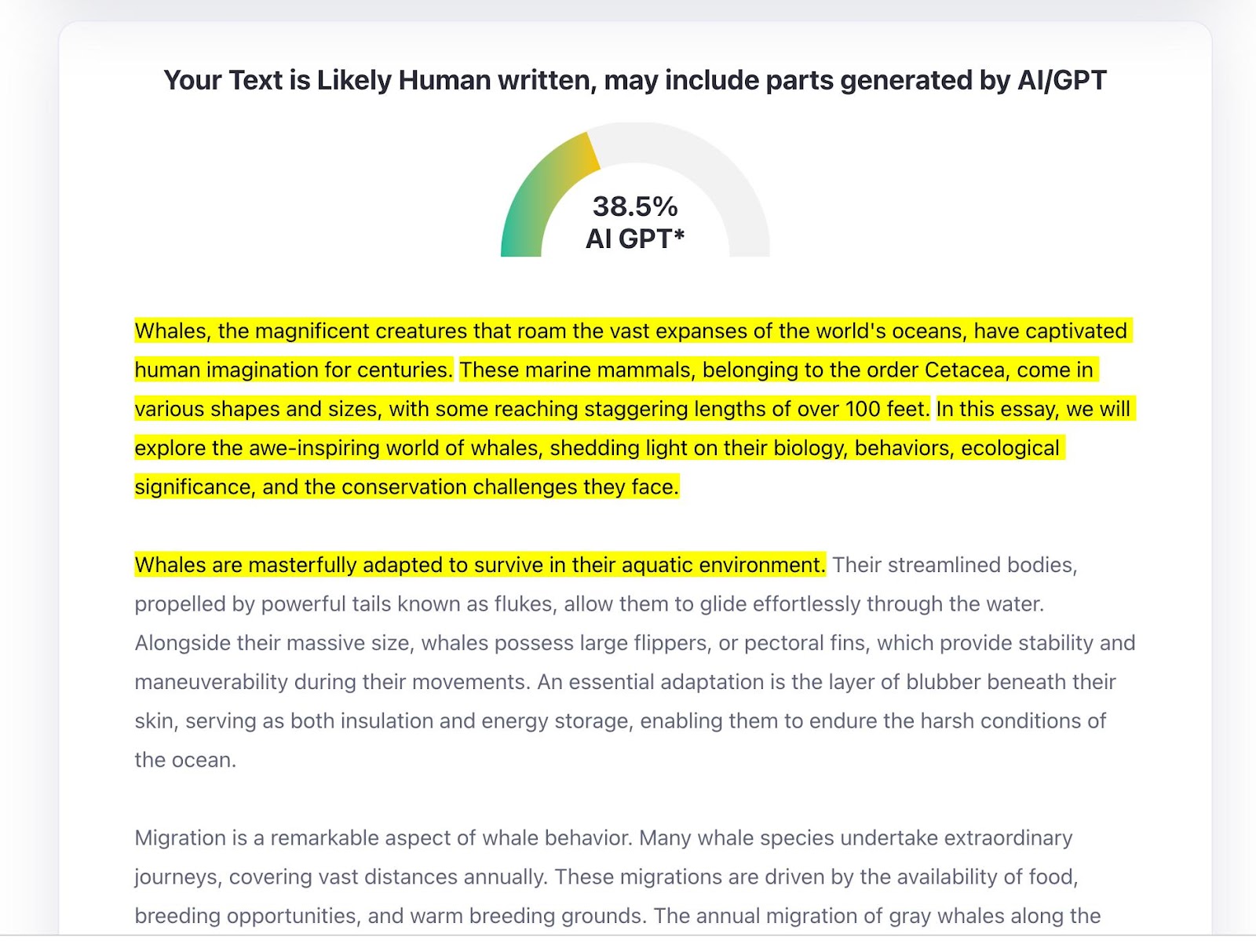 This image shows the results of the Fake Essay about Whales from ChatGPT being put through the AI Detection Program ZeroGPT. It shows highlighted yellow text and the results of 38.5% AI GPT, with the text "Your Text is Likely Human Written, may include parts generated by AI/GPT"