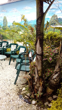 Parque de la Salud Doctor Rojas | Servicios de salud en Dosquebradas y Pereira - Centro naturista