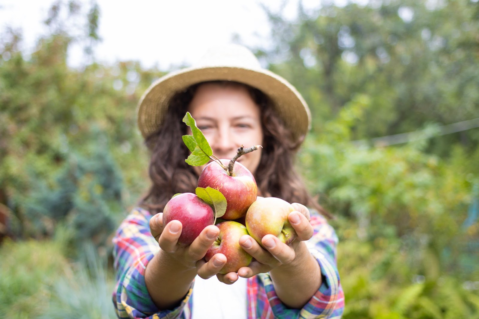 how is apple cider made