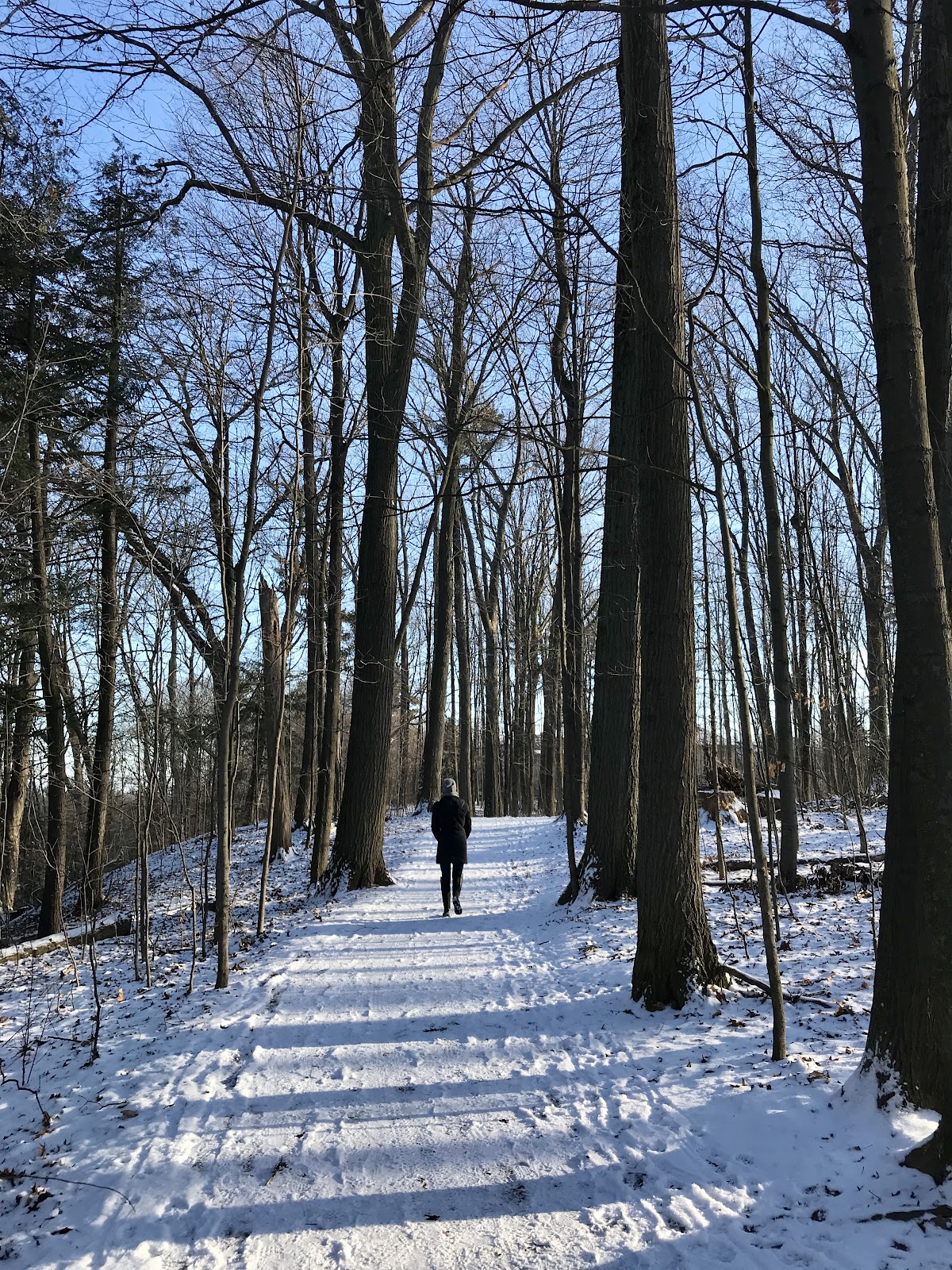 winter activities in ontario