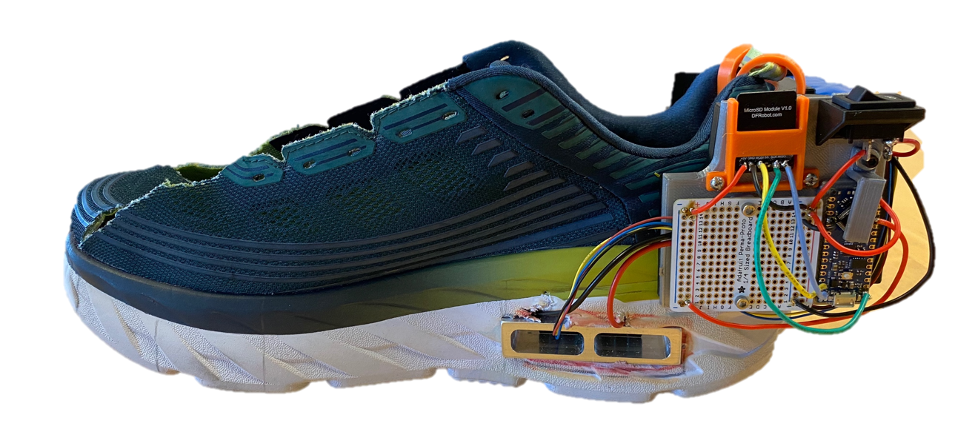 amster footwear wiki