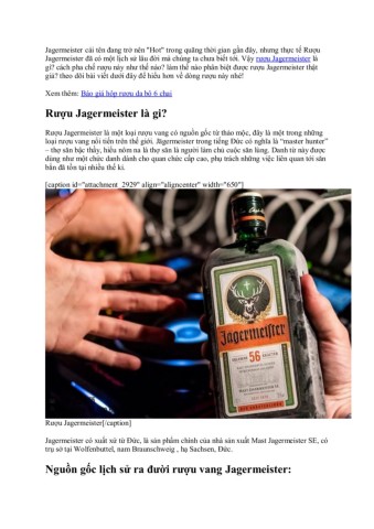 Tìm hiểu về Rượu Jagermeister Thông tin và kinh nghiệm