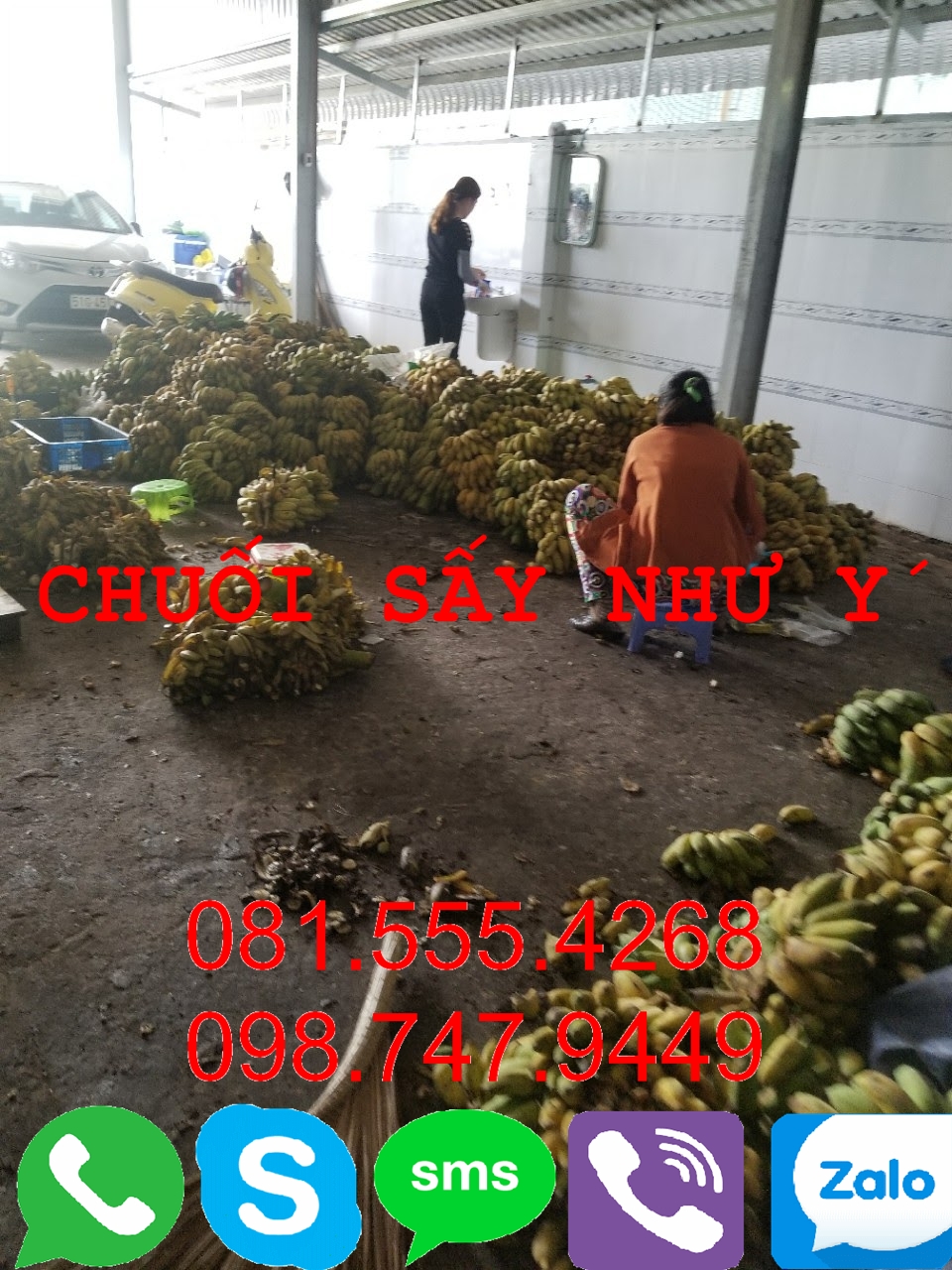 Cung cấp Sỉ chuối sấy, chuối ép cả nước Xuất Khẩu 0815554268 - 2