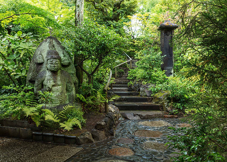 Forget about daily life in this authentic Japanese garden and enjoy walking in tranquility