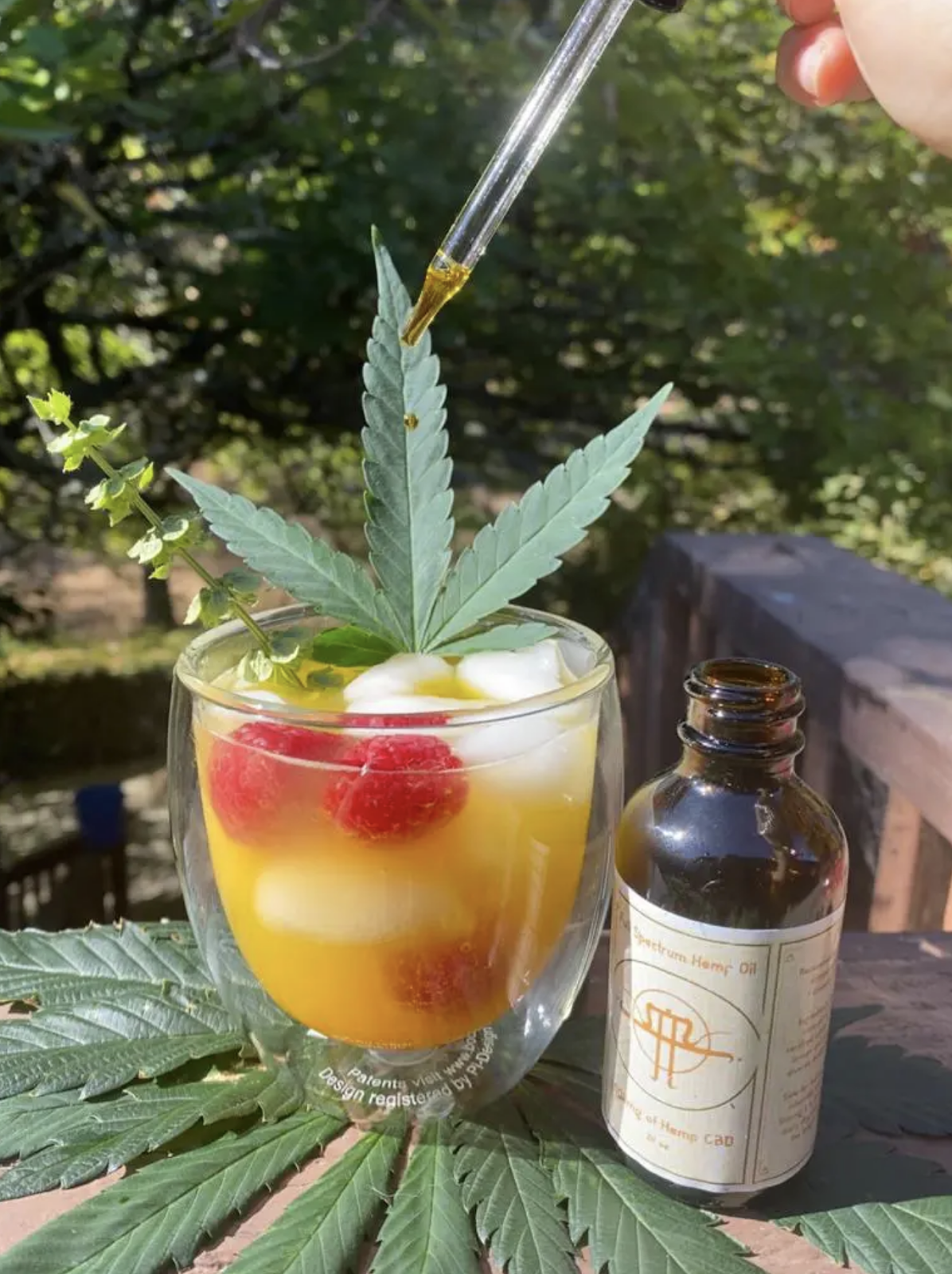 Foto colorida com um frasco e pipeta contendo Óleo de CBD, sendo colocado em um copo de suco de laranja com framboesas e folha de cannabis