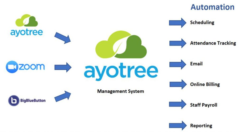phan-mem-ayotree