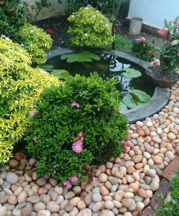 8 Inspirasi Dekorasi Kolam Ikan Minimalis Untuk Mempercantik Hunian