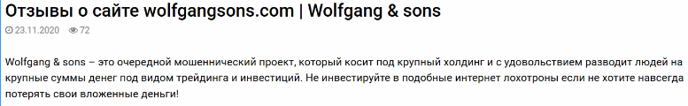 Обзор компании Wolfgang&#038;Sons: анализ торговых предложений и отзывы клиентов