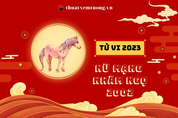 tu-vi-tuoi-nham-ngo-2002-nam-2023-nu-mang