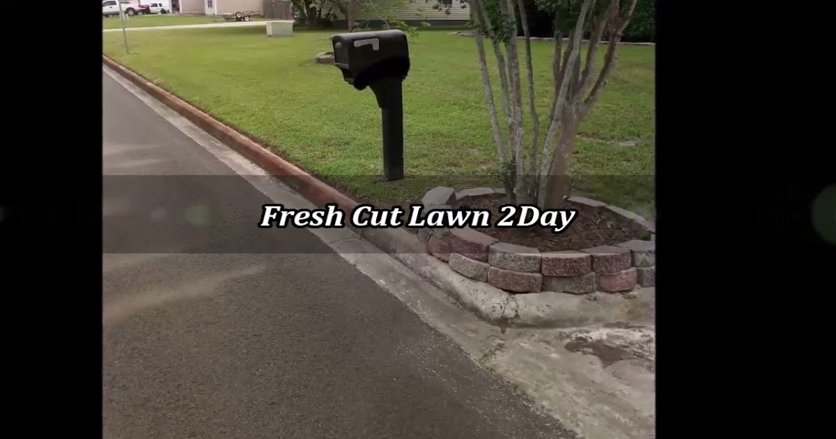 Fresh Cut Lawn 2Day.mp4