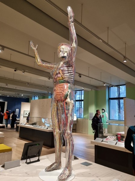 Wellcome collection
 70 DARMOWYCH ATRAKCJI W LONDYNIE