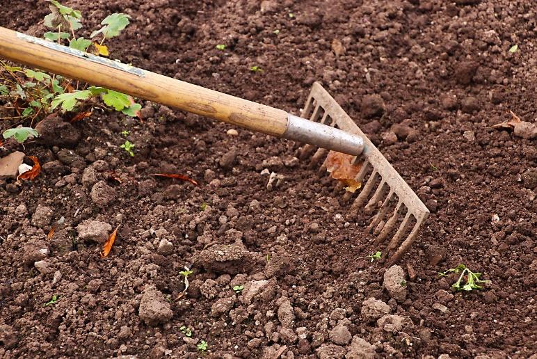 Free Rake Gardening photo and picture